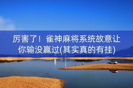 厉害了！雀神麻将系统故意让你输没赢过(其实真的有挂)