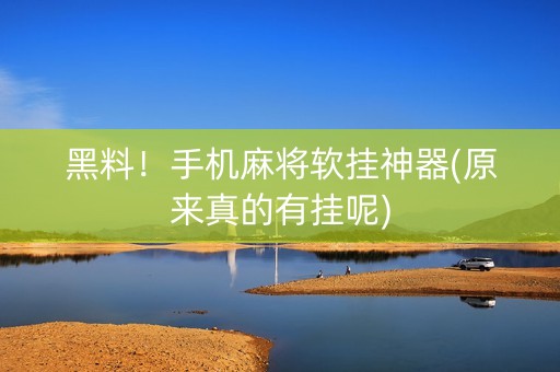 黑料！手机麻将软挂神器(原来真的有挂呢)