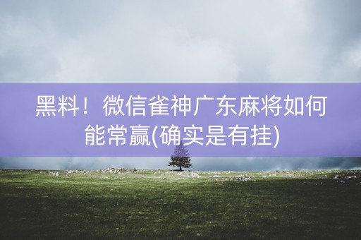 黑料！微信雀神广东麻将如何能常赢(确实是有挂)