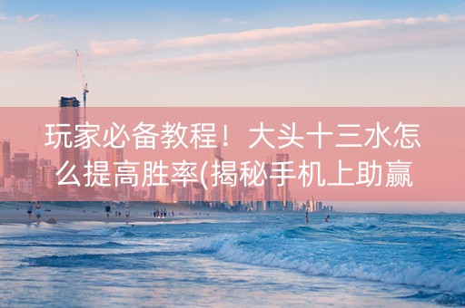 玩家必备教程！大头十三水怎么提高胜率(揭秘手机上助赢软件)