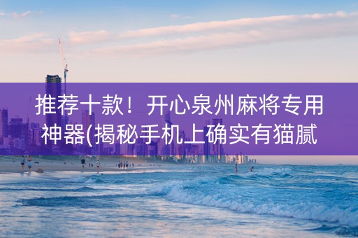 推荐十款！开心泉州麻将专用神器(揭秘手机上确实有猫腻)