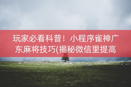 玩家必看科普！小程序雀神广东麻将技巧(揭秘微信里提高赢的概率)