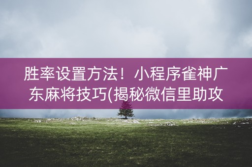 胜率设置方法！小程序雀神广东麻将技巧(揭秘微信里助攻神器)