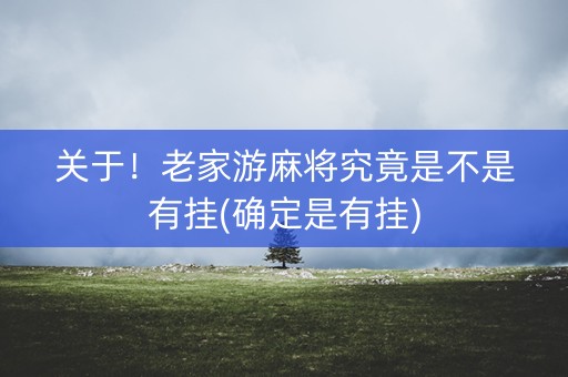 关于！老家游麻将究竟是不是有挂(确定是有挂)