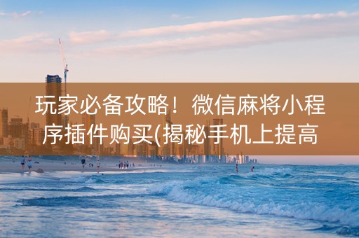 玩家必备攻略！微信麻将小程序插件购买(揭秘手机上提高胜率)