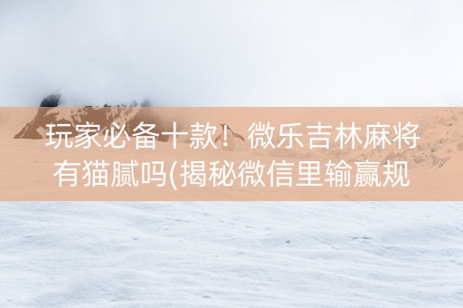 玩家必备十款！微乐吉林麻将有猫腻吗(揭秘微信里输赢规律)