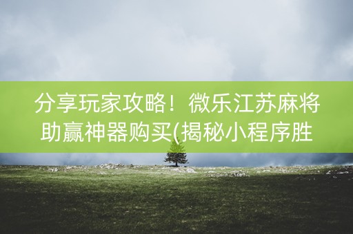 分享玩家攻略！微乐江苏麻将助赢神器购买(揭秘小程序胜率到哪调)