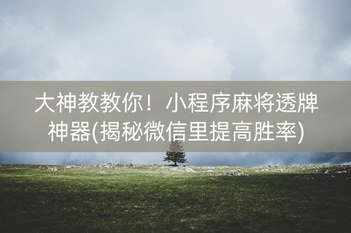 大神教教你！小程序麻将透牌神器(揭秘微信里提高胜率)