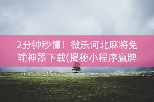 2分钟秒懂！微乐河北麻将免输神器下载(揭秘小程序赢牌技巧)