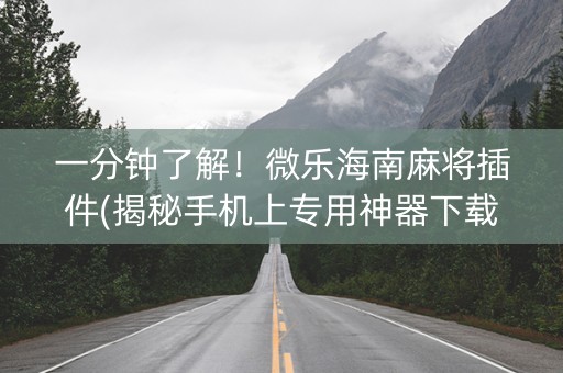 一分钟了解！微乐海南麻将插件(揭秘手机上专用神器下载)