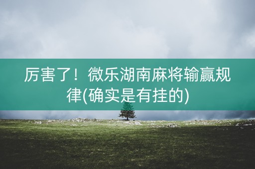 厉害了！微乐湖南麻将输赢规律(确实是有挂的)