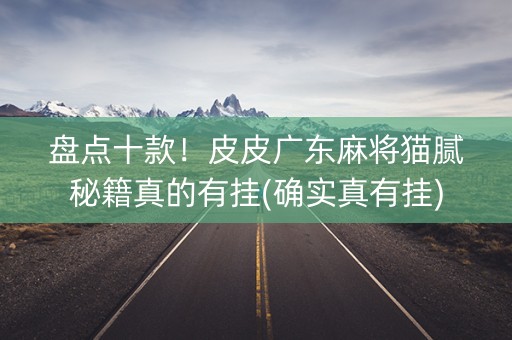 盘点十款！皮皮广东麻将猫腻秘籍真的有挂(确实真有挂)