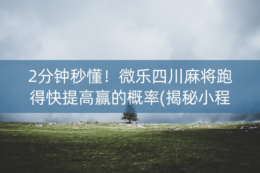 2分钟秒懂！微乐四川麻将跑得快提高赢的概率(揭秘小程序专用神器下载)