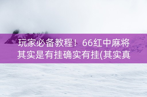 玩家必备教程！66红中麻将其实是有挂确实有挂(其实真的确实有挂)