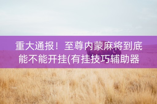 重大通报！至尊内蒙麻将到底能不能开挂(有挂技巧辅助器)