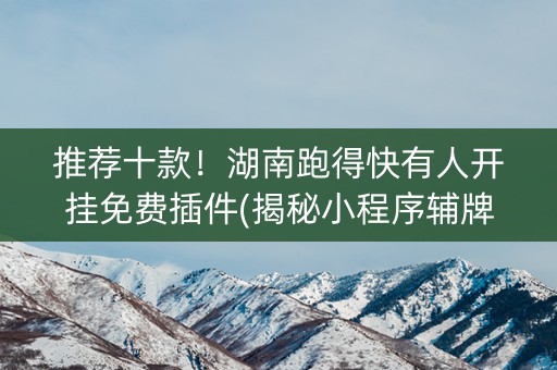 推荐十款！湖南跑得快有人开挂免费插件(揭秘小程序辅牌器)