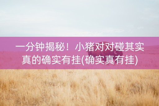 一分钟揭秘！小猪对对碰其实真的确实有挂(确实真有挂)