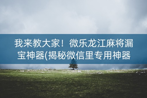 我来教大家！微乐龙江麻将漏宝神器(揭秘微信里专用神器下载)