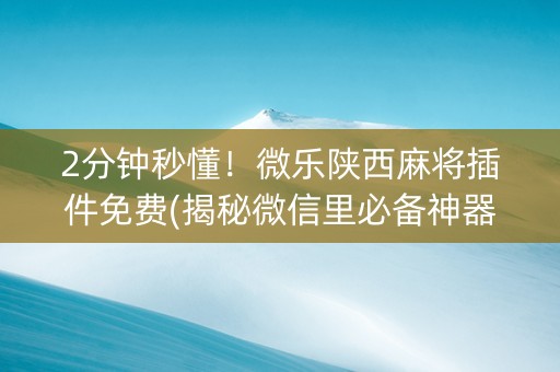 2分钟秒懂！微乐陕西麻将插件免费(揭秘微信里必备神器)