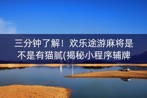 三分钟了解！欢乐途游麻将是不是有猫腻(揭秘小程序辅牌器)