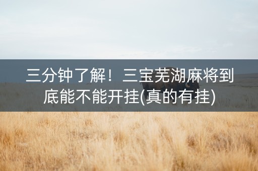 三分钟了解！三宝芜湖麻将到底能不能开挂(真的有挂)