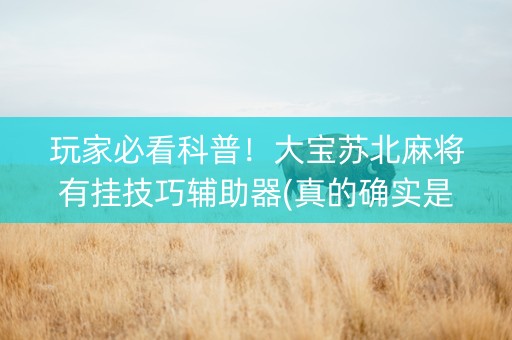 玩家必看科普！大宝苏北麻将有挂技巧辅助器(真的确实是有挂)