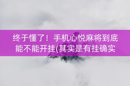 终于懂了！手机心悦麻将到底能不能开挂(其实是有挂确实有挂)