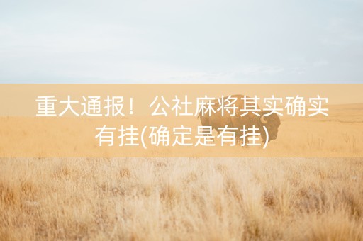 重大通报！公社麻将其实确实有挂(确定是有挂)