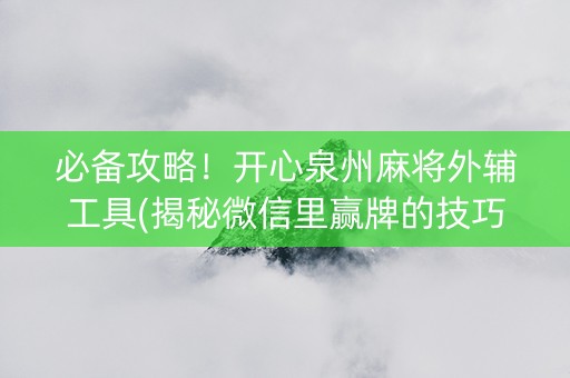 必备攻略！开心泉州麻将外辅工具(揭秘微信里赢牌的技巧)