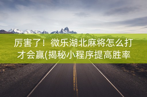 厉害了！微乐湖北麻将怎么打才会赢(揭秘小程序提高胜率)