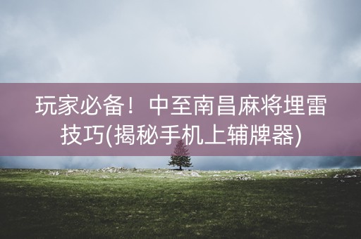 玩家必备！中至南昌麻将埋雷技巧(揭秘手机上辅牌器)