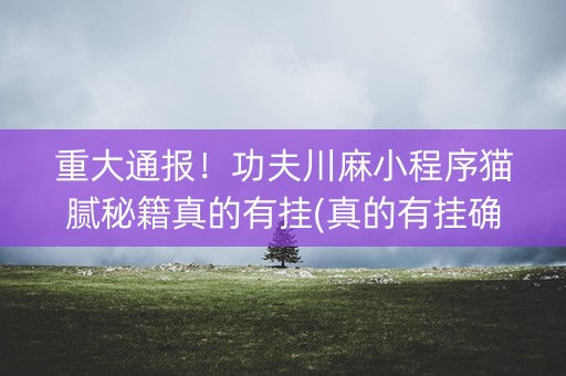 重大通报！功夫川麻小程序猫腻秘籍真的有挂(真的有挂确实有挂)