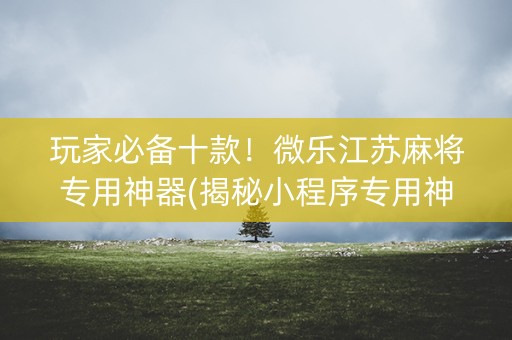 玩家必备十款！微乐江苏麻将专用神器(揭秘小程序专用神器下载)