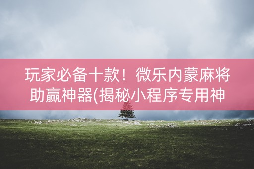 玩家必备十款！微乐内蒙麻将助赢神器(揭秘小程序专用神器下载)