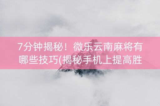 7分钟揭秘！微乐云南麻将有哪些技巧(揭秘手机上提高胜率)