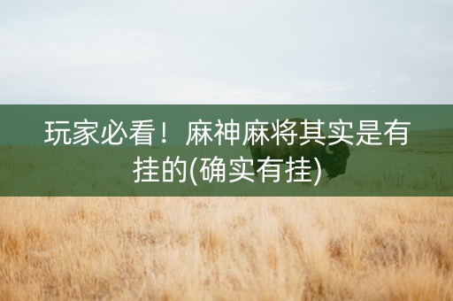 玩家必看！麻神麻将其实是有挂的(确实有挂)