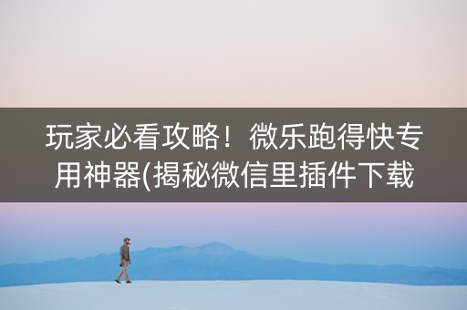 玩家必看攻略！微乐跑得快专用神器(揭秘微信里插件下载)