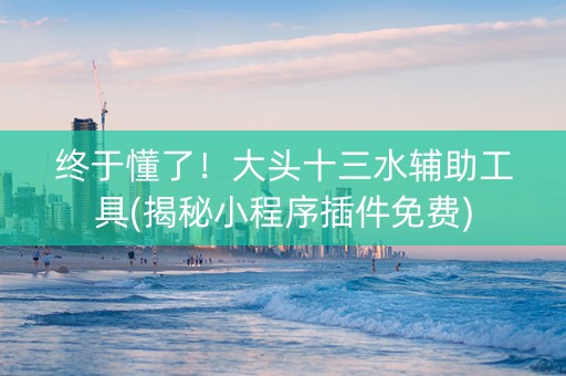 终于懂了！大头十三水辅助工具(揭秘小程序插件免费)