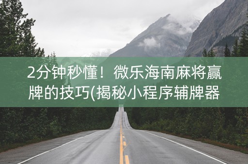 2分钟秒懂！微乐海南麻将赢牌的技巧(揭秘小程序辅牌器)