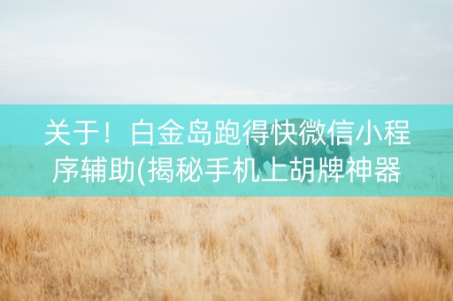 关于！白金岛跑得快微信小程序辅助(揭秘手机上胡牌神器)