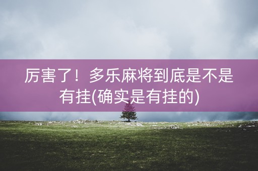 厉害了！多乐麻将到底是不是有挂(确实是有挂的)