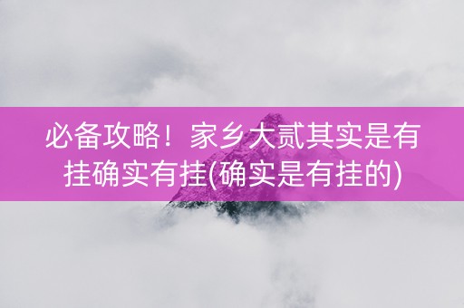 必备攻略！家乡大贰其实是有挂确实有挂(确实是有挂的)