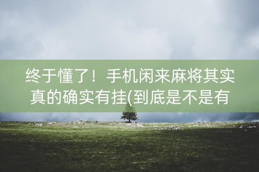 终于懂了！手机闲来麻将其实真的确实有挂(到底是不是有挂)