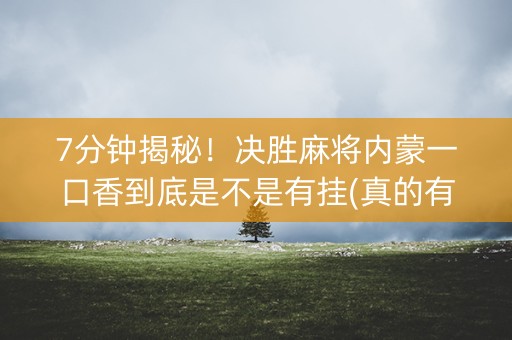 7分钟揭秘！决胜麻将内蒙一口香到底是不是有挂(真的有挂确实有挂)