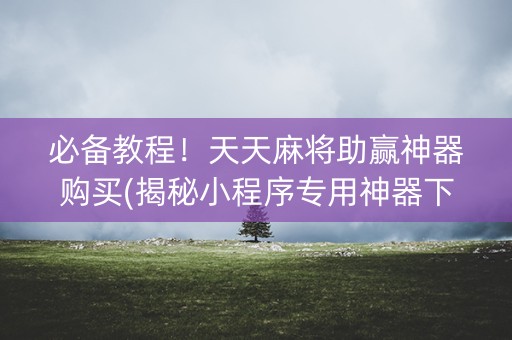 必备教程！天天麻将助赢神器购买(揭秘小程序专用神器下载)