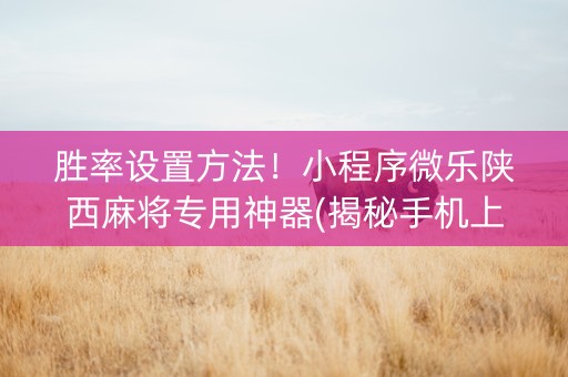 胜率设置方法！小程序微乐陕西麻将专用神器(揭秘手机上辅牌器)