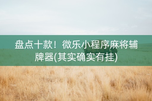 盘点十款！微乐小程序麻将辅牌器(其实确实有挂)