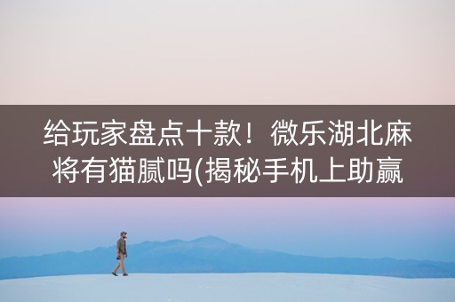 给玩家盘点十款！微乐湖北麻将有猫腻吗(揭秘手机上助赢神器)