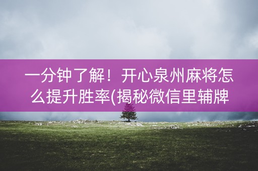 一分钟了解！开心泉州麻将怎么提升胜率(揭秘微信里辅牌器)