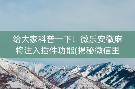 给大家科普一下！微乐安徽麻将注入插件功能(揭秘微信里插件购买)